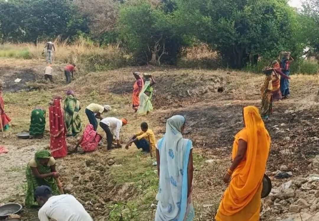 गोंडा में गोआश्रय निर्माण में 1.34 करोड़ की वित्तीय अनियमितता का मामला, चार पूर्व प्रधानों को नोटिस; 15 दिन में देना होगा जवाब