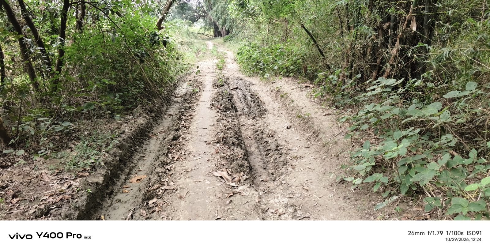 जमुनही हरदोपट्टी में पक्की सड़क की मांग तेज, कच्चे रास्ते से स्कूल जाने को मजबूर बच्चे; बारिश में बढ़ जाती है ग्रामीणों की मुश्किलें