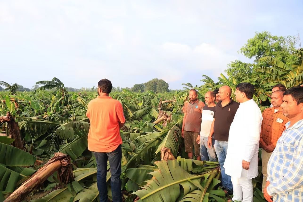 करनैलगंज में प्राकृतिक आपदा से फसलों और तहसील परिसर को नुकसान, विधायक अजय सिंह ने मौके पर पहुंचकर लिया जायजा