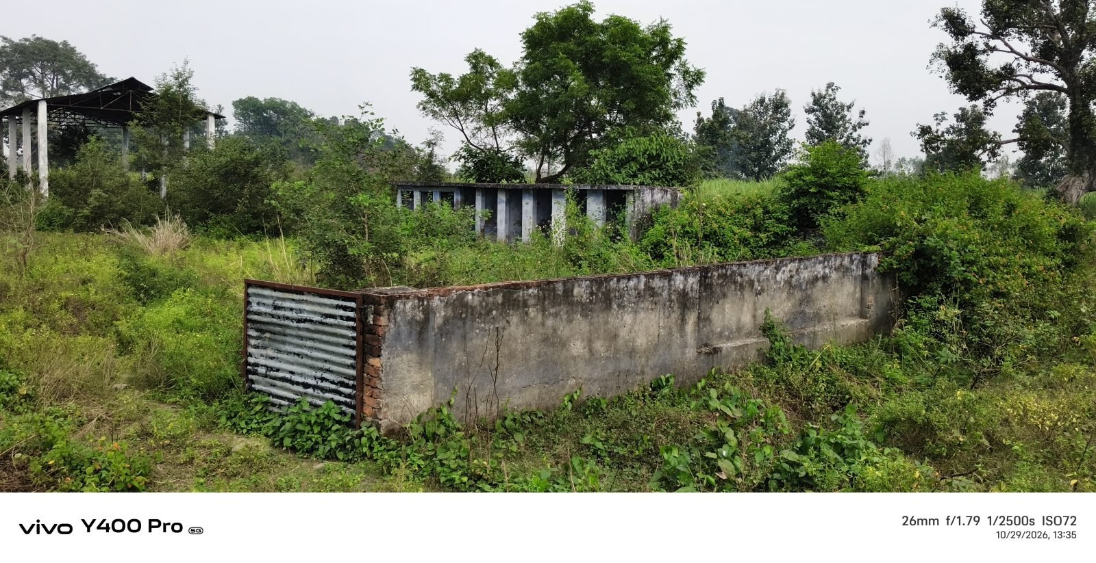 जमुनही हरदोपट्टी का अंत्येष्टि स्थल बदहाली का शिकार, परिसर में उगी झाड़ियां ; न हैंडपंप, न साफ-सफाई, जहरीले जीव-जंतुओं का खतरा